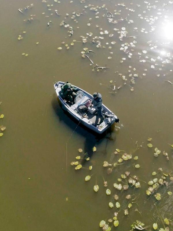La pêche vue du ciel