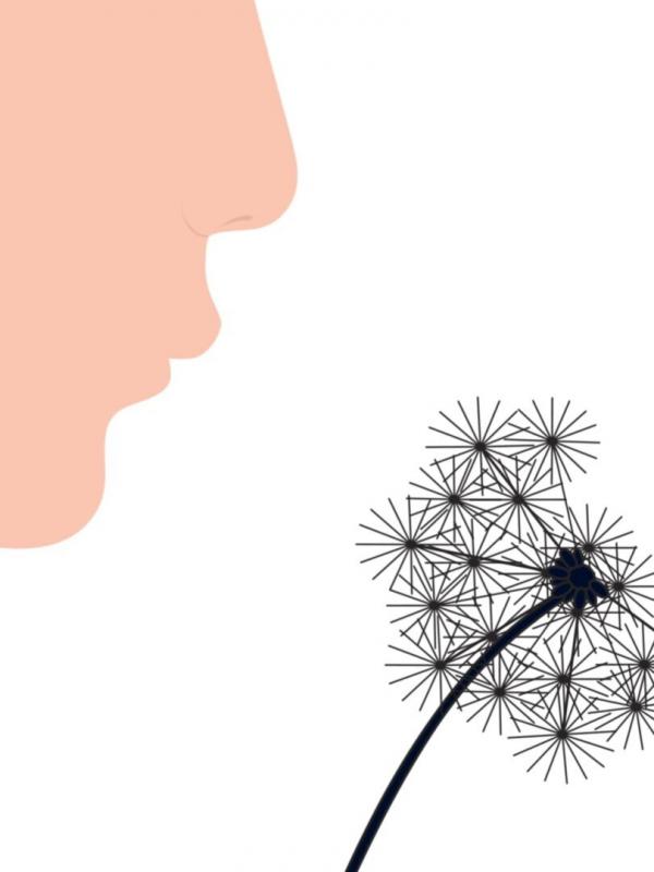 Boomhutverhalen S3 E12