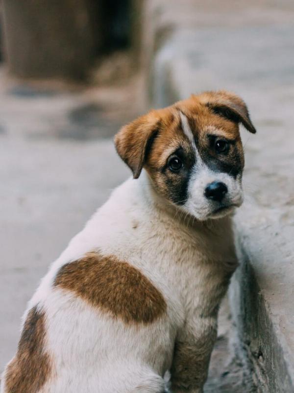 Une famille pour la vie