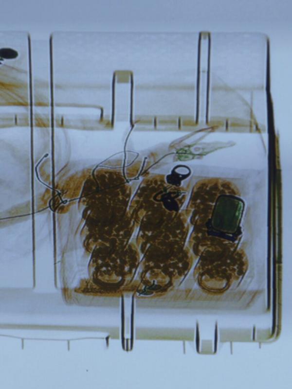 Au cœur des douanes : destination Europe