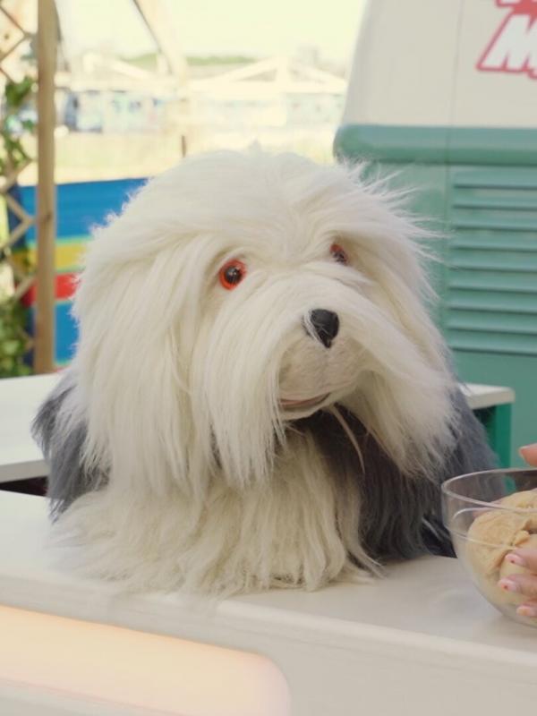 Samson & Marie, IJsjestijd S2 E19