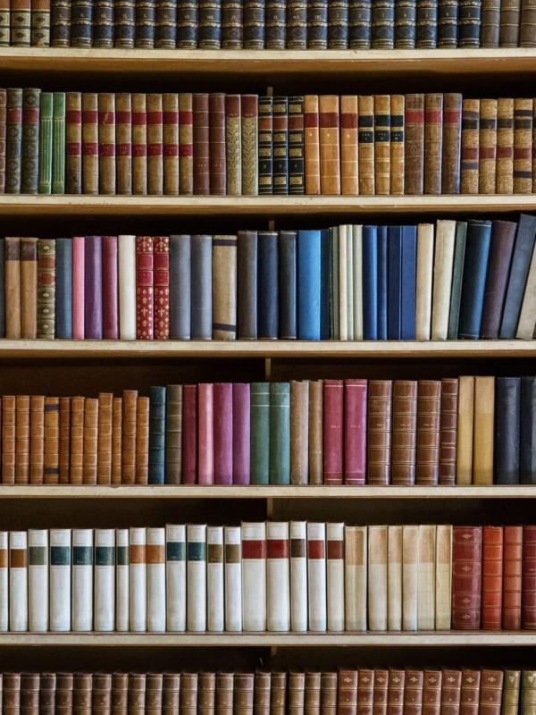 De bibliotheek