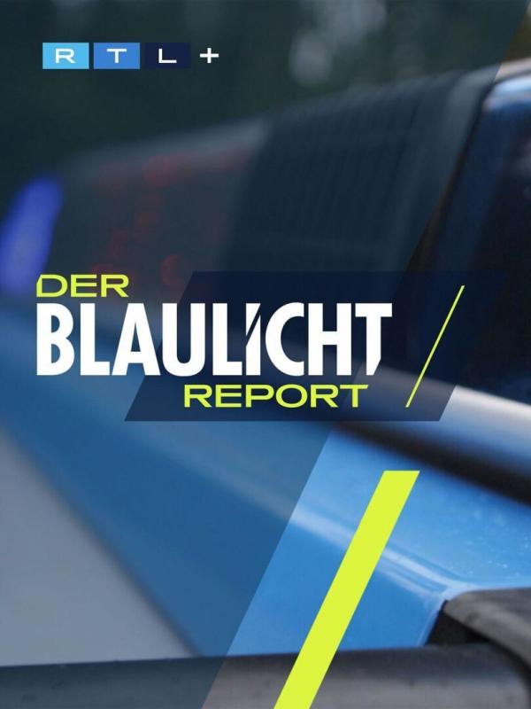 Der Blaulicht Report - Einzeleinsätze
