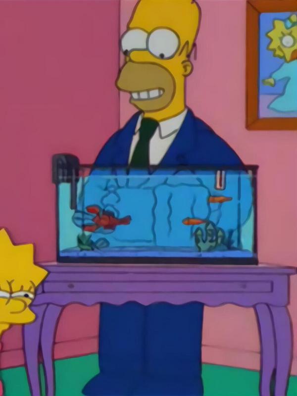 Les Simpson S10 E7
