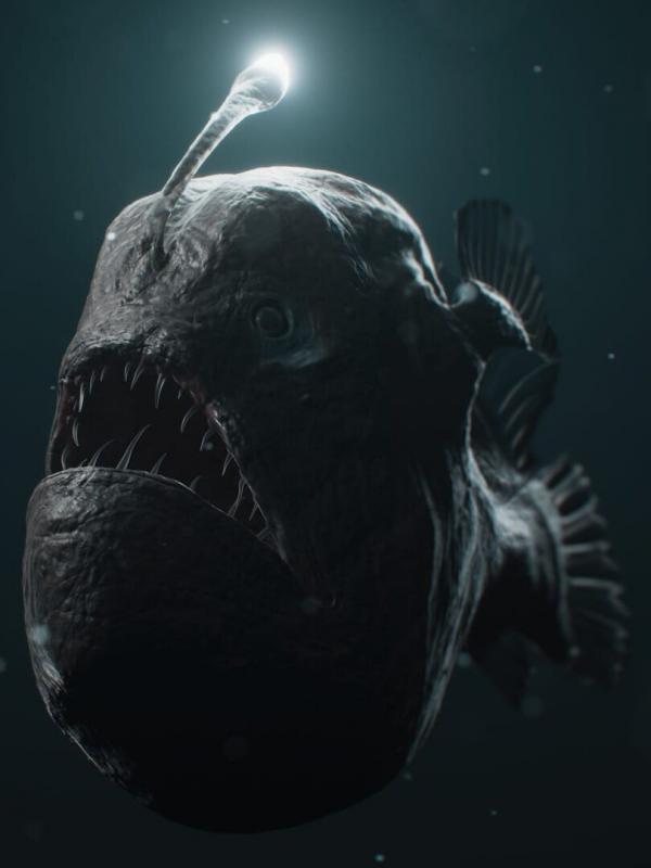 Les monstres des profondeurs avec Steve Backshall