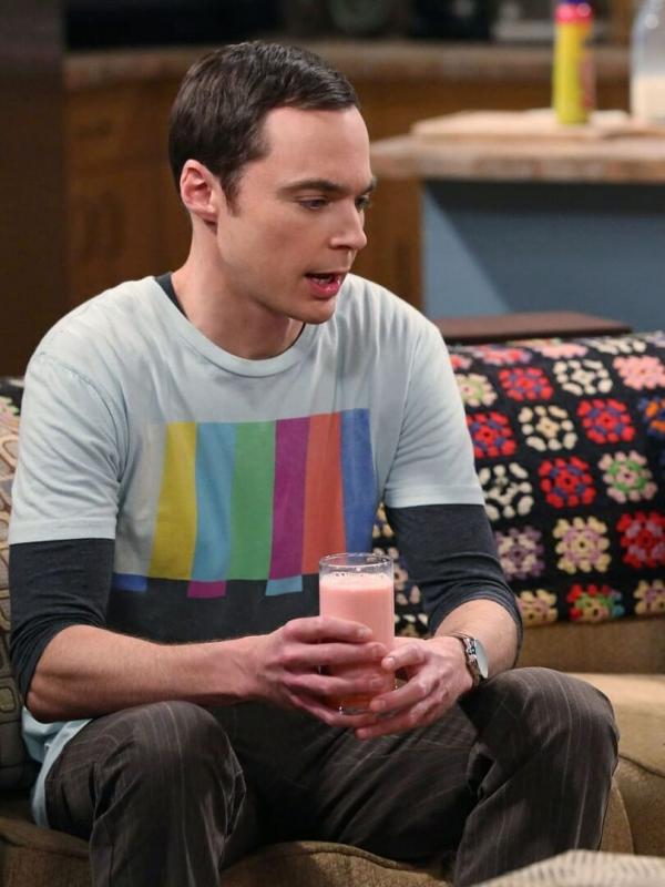 The Big Bang Theory S7 E24