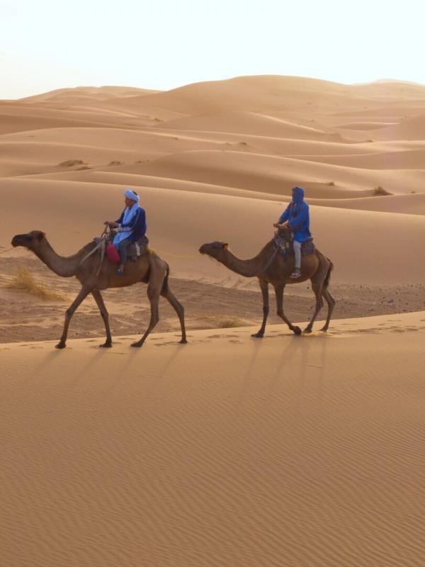Afrika: Kontinent der Vielfalt
