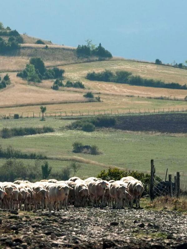 Invitation au voyage