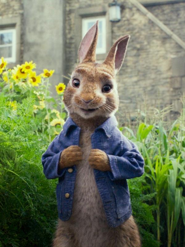 Pierre Lapin