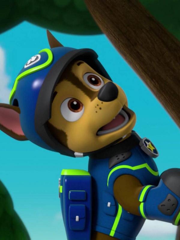 Paw Patrol S3 E26