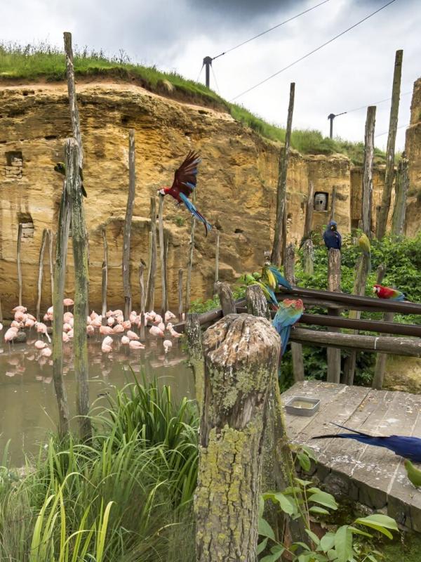 Zoo : le défi de demain