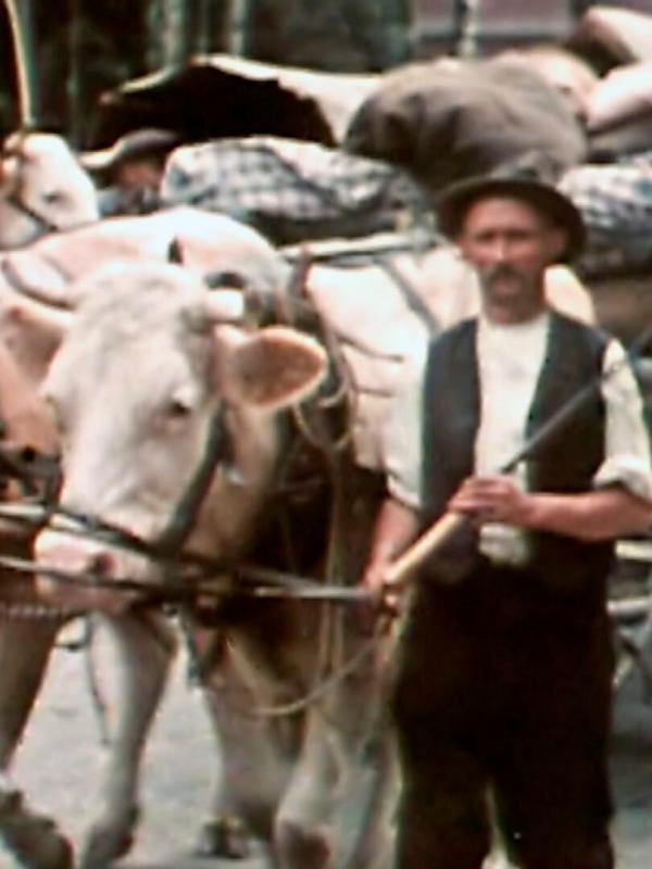 Dans l'intimité des nazis