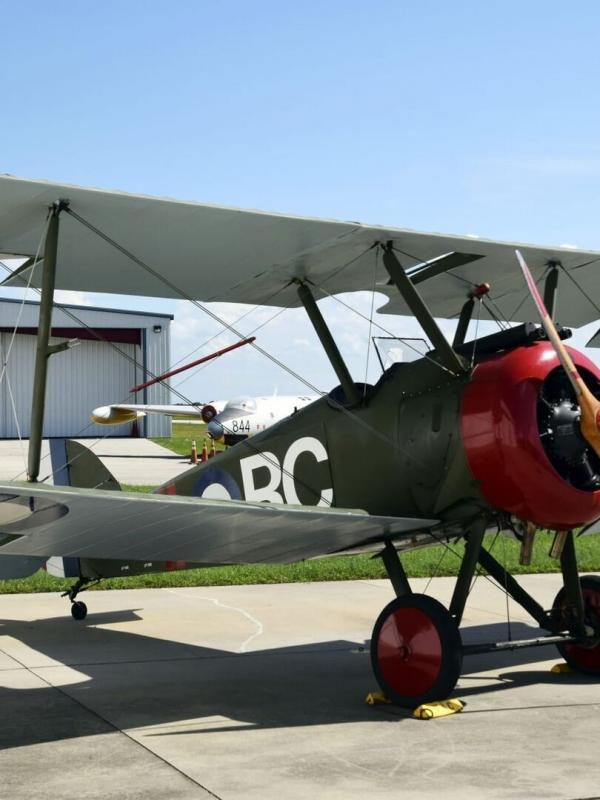Avions de combat