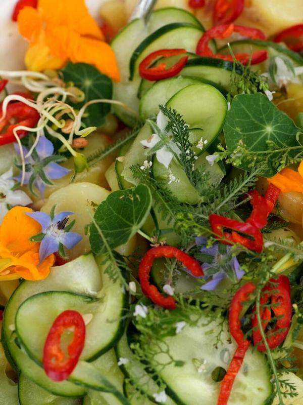 Cuisines des terroirs