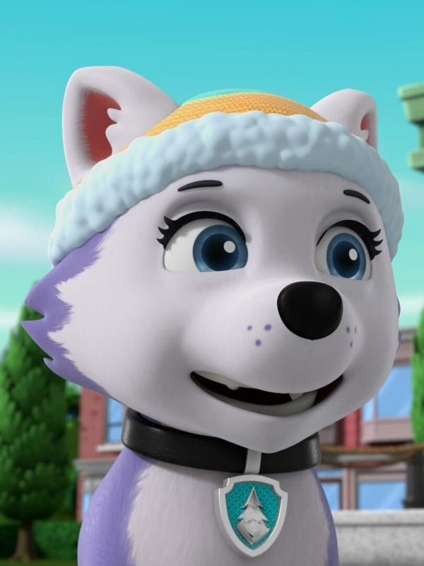 Pat' Patrouille S8 E9