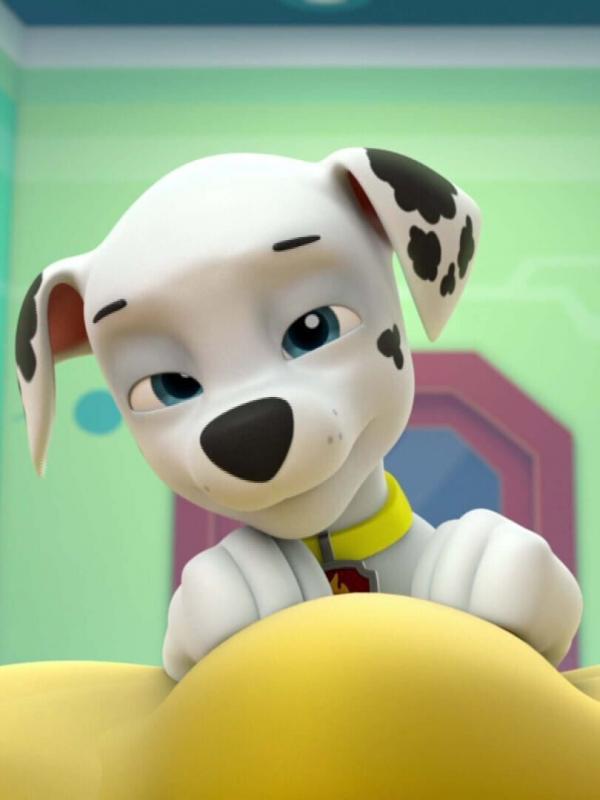 Paw Patrol S4 E5