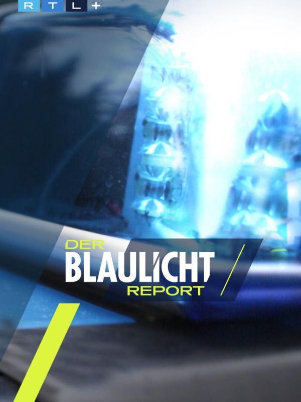 Der Blaulicht Report - Einzeleinsätze