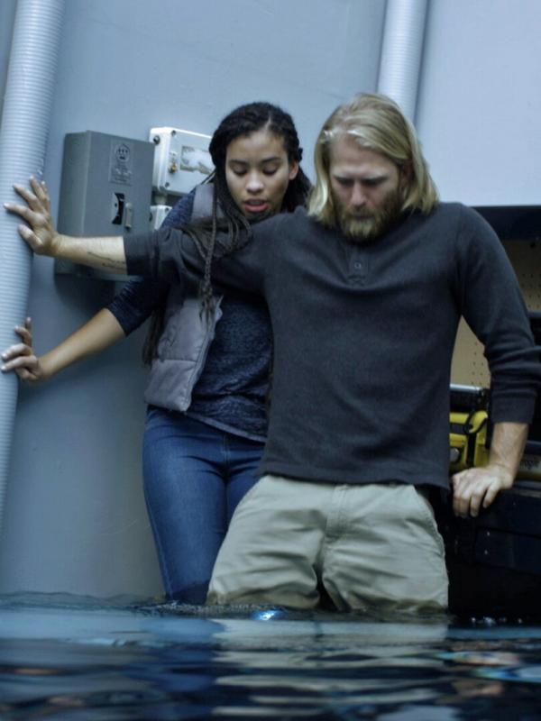 Ice sharks : requins des glaces