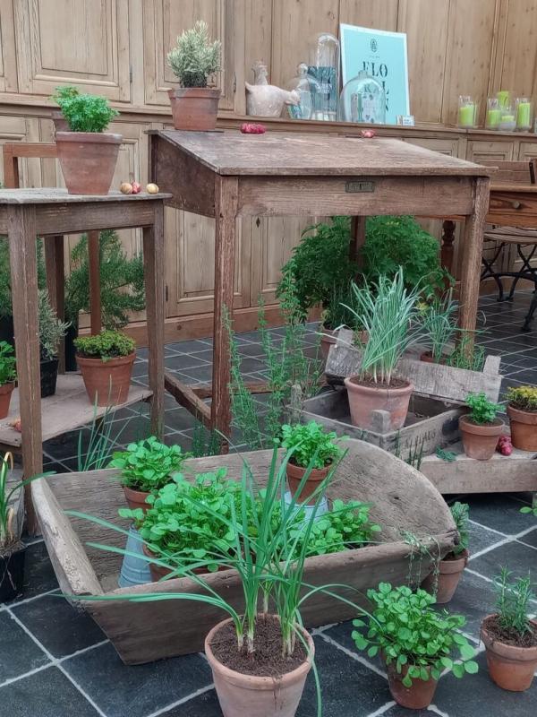 Mijn Tuin