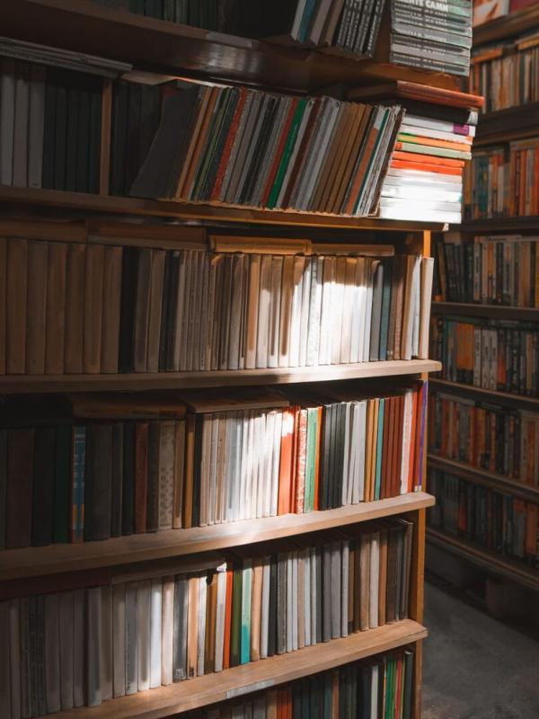 Dans la bibliothèque de