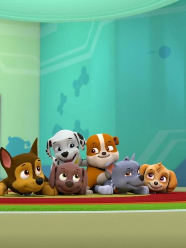 Paw Patrol S5 E26