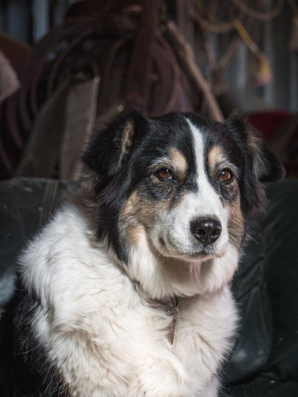 Voyage au centre de la vie