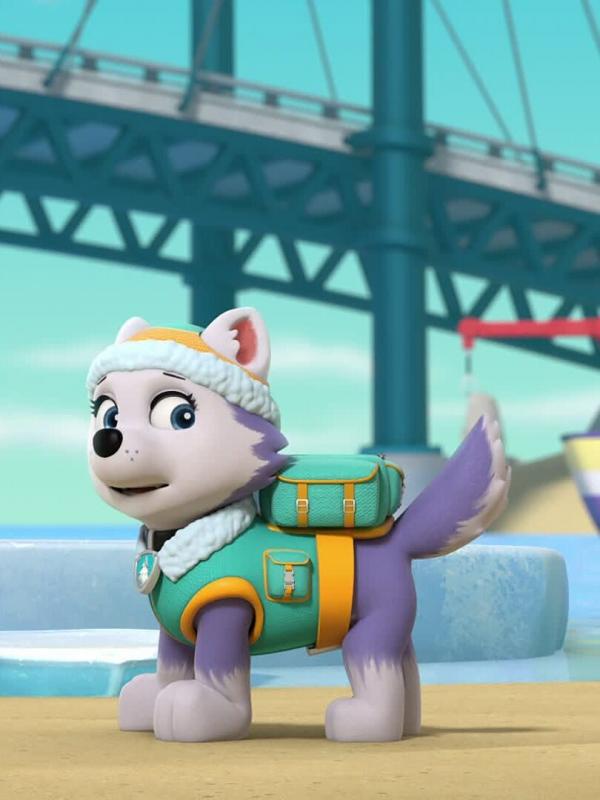 Paw Patrol S10 E4