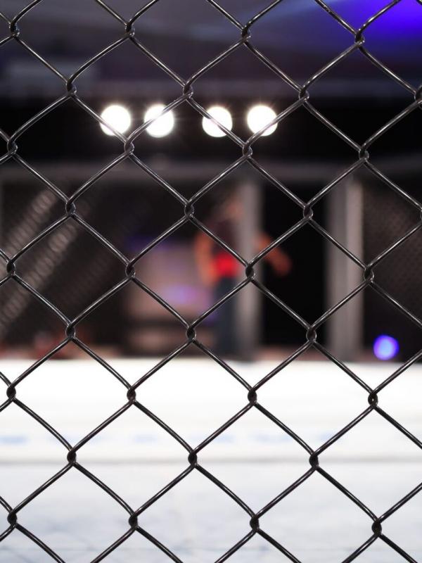 MMA : United Fight Night Series