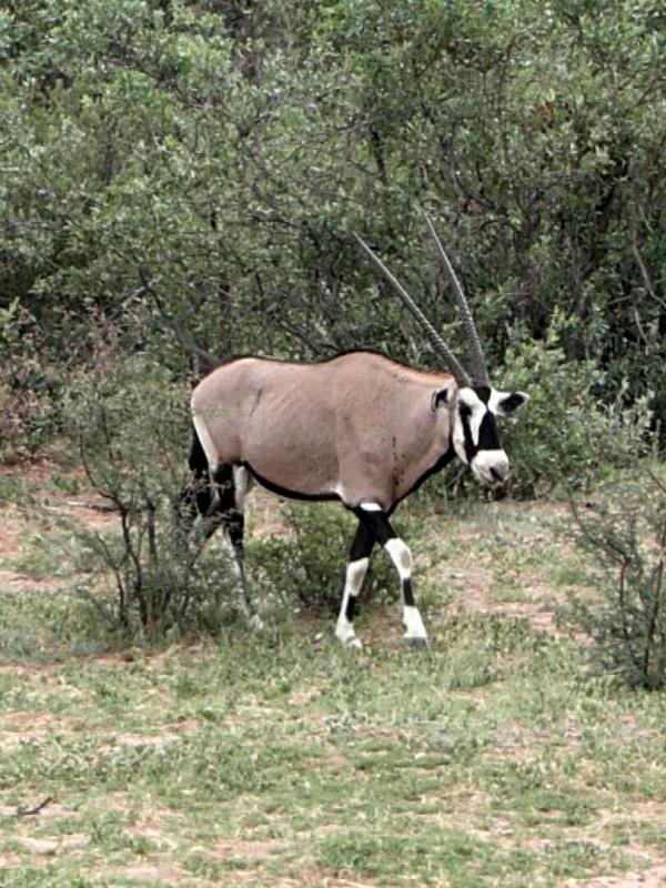 Namibie, l'Afrique à couper le souffle