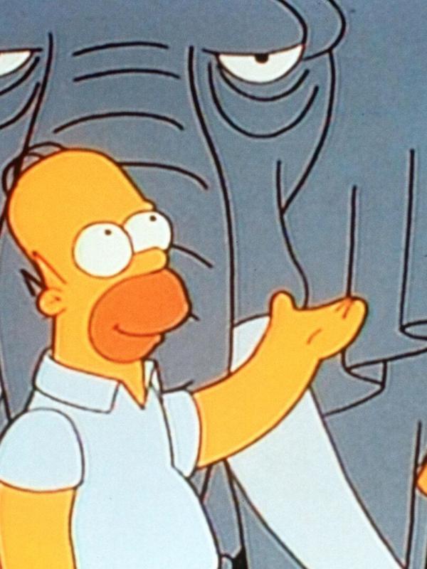 Les Simpson S5 E17