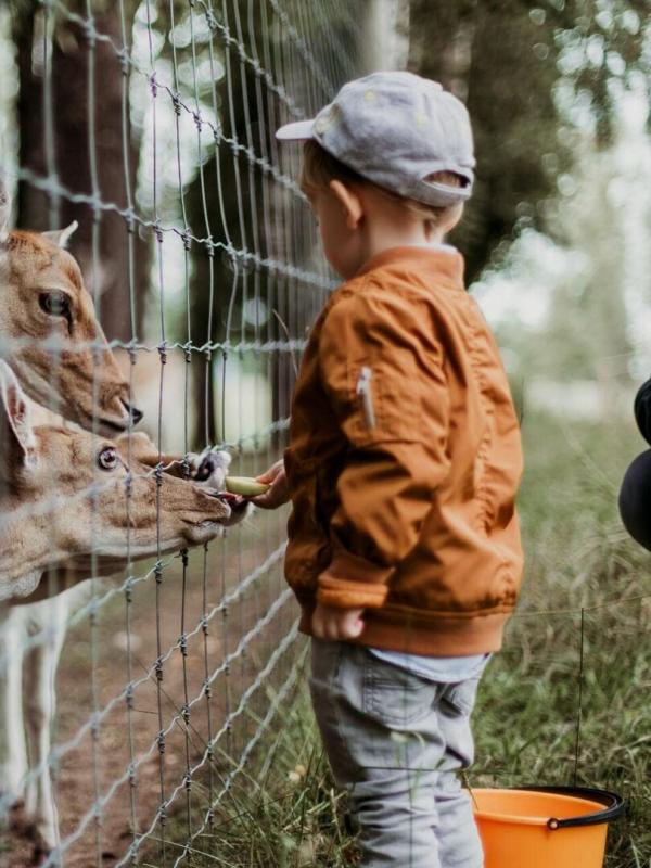 Le PAL : au coeur du zoo le plus insolite de France