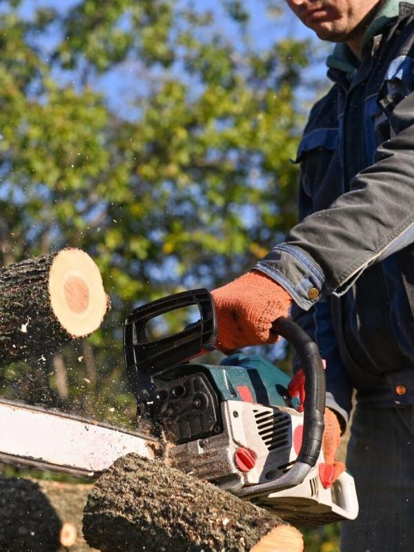 Bûcheron : un métier à hauts risques