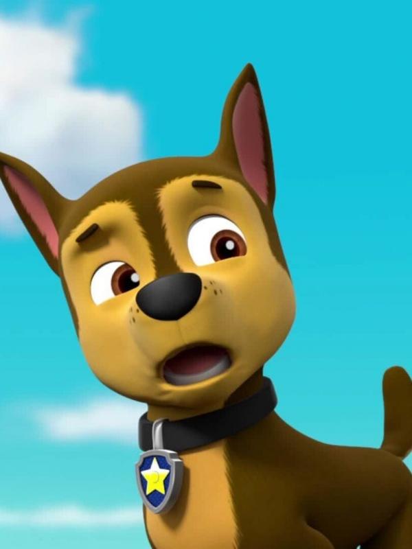 Paw Patrol S3 E25