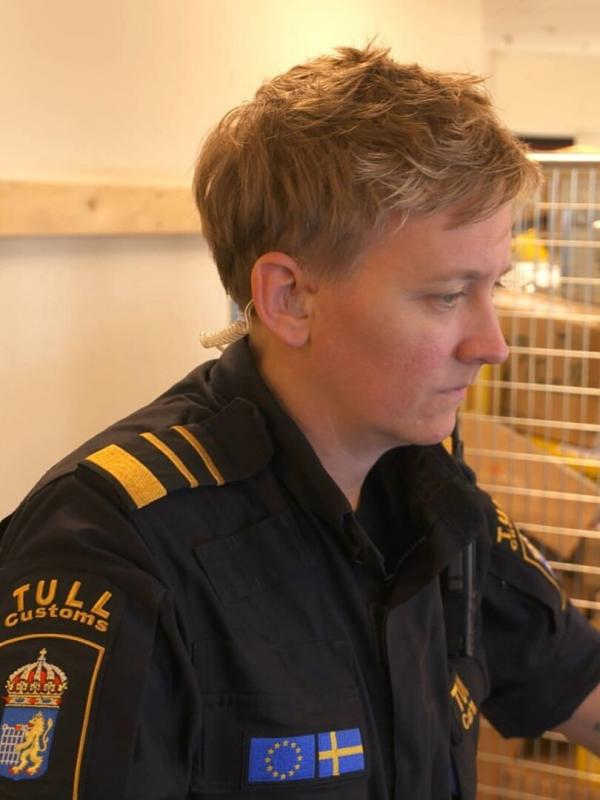 Au cœur des douanes : Suède