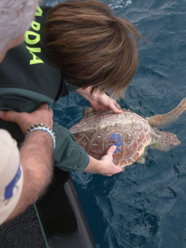 Espagne : côtes sous surveillance