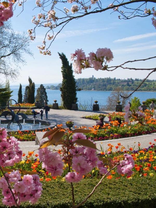 Heimat entdecken: Blüten, Gärten und Genießen