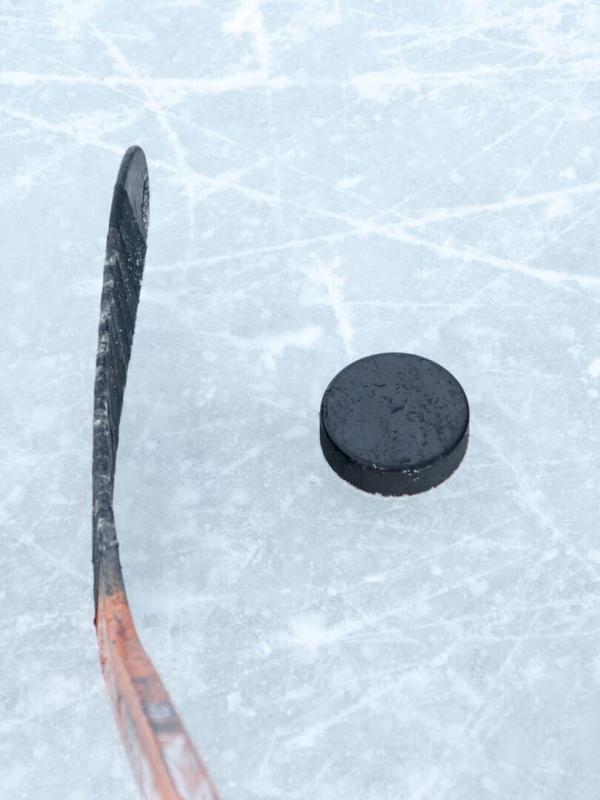 Hockey sur glace : Division 1