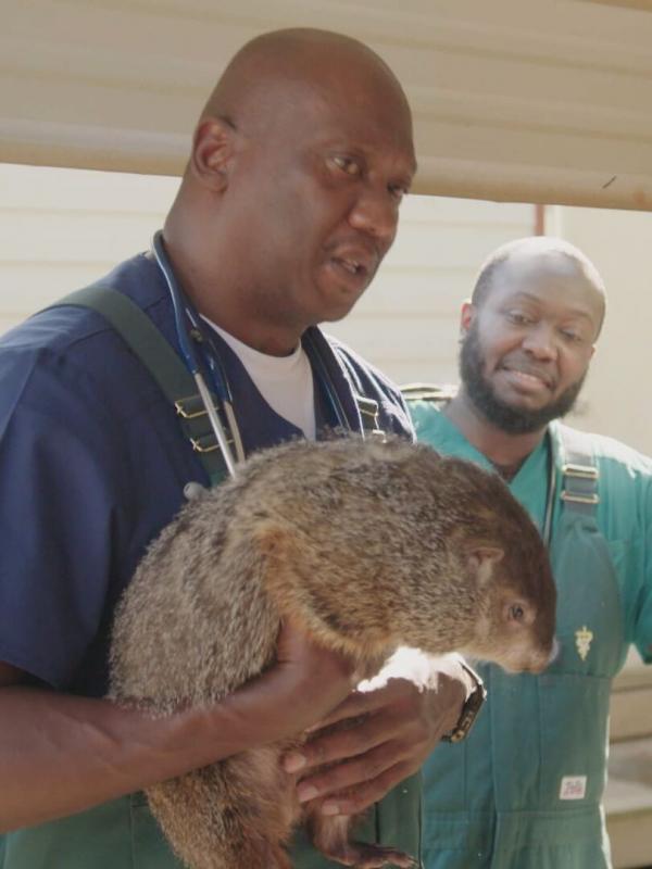 Critter Fixers : Vétos de choc