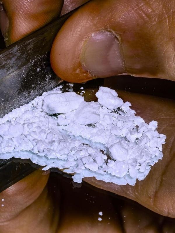 Le Patriarche, le gourou des drogués