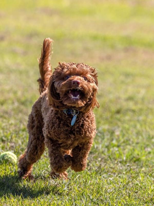 Une famille pour la vie