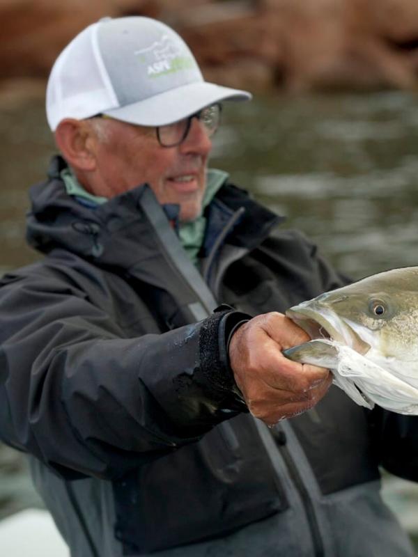 Bar rayé en Gaspésie