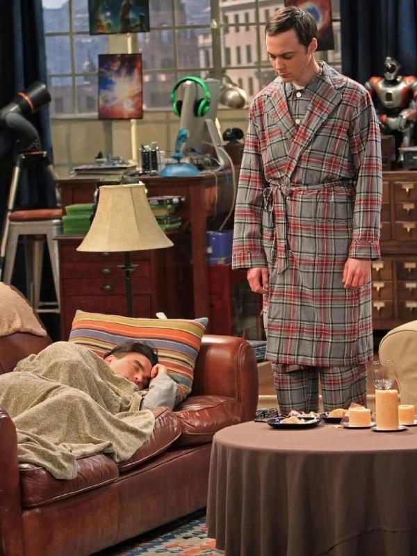 The Big Bang Theory S4 E24