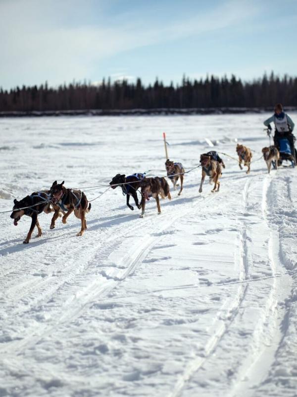 Into the Wild: Alaska