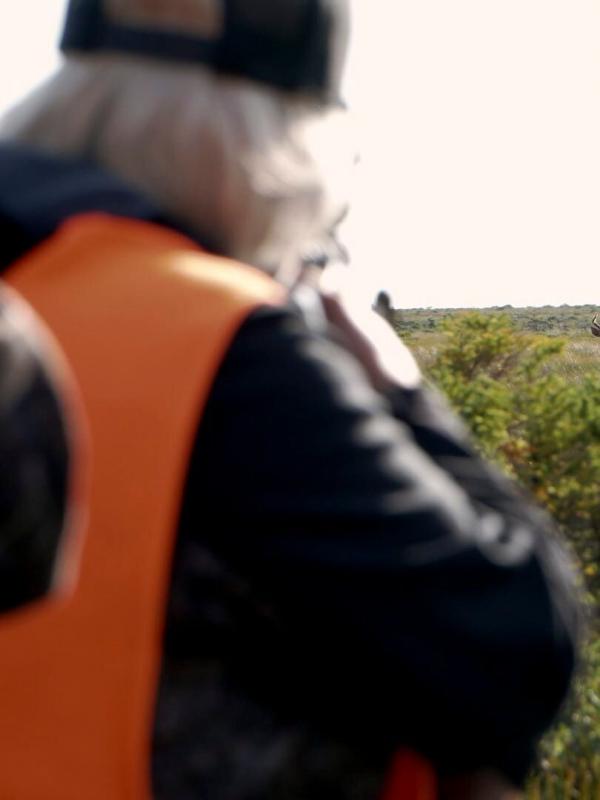 Anticosti, le royaume du cerf de Virginie