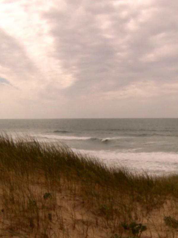 Les carnets de Julie