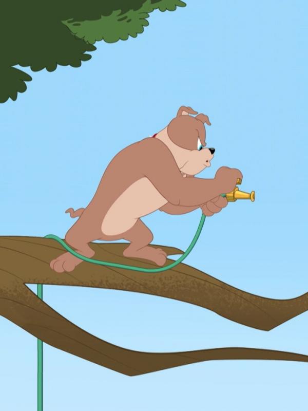 Tom et Jerry Show S5 E31