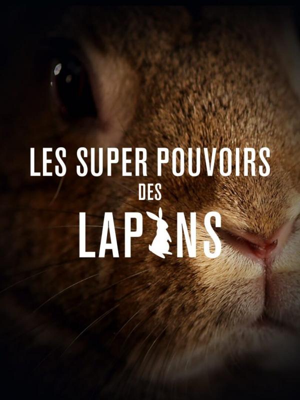 Les super-pouvoirs des lapins