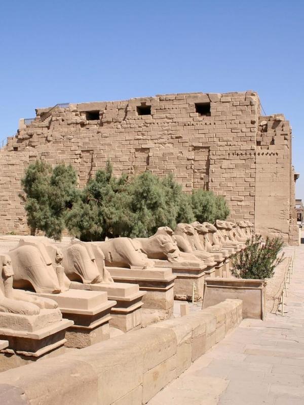 Dans le secret des grands bâtisseurs