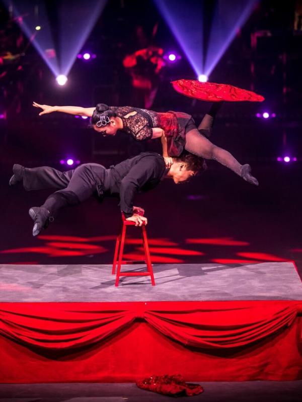 Le Cirque Phénix - 25 ans