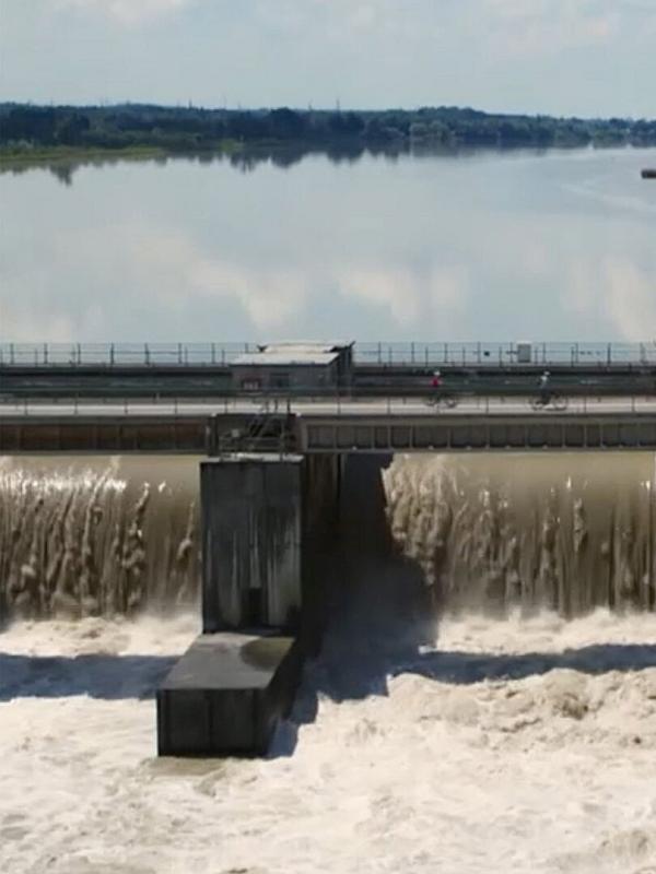 Des mains vertes pour la nature